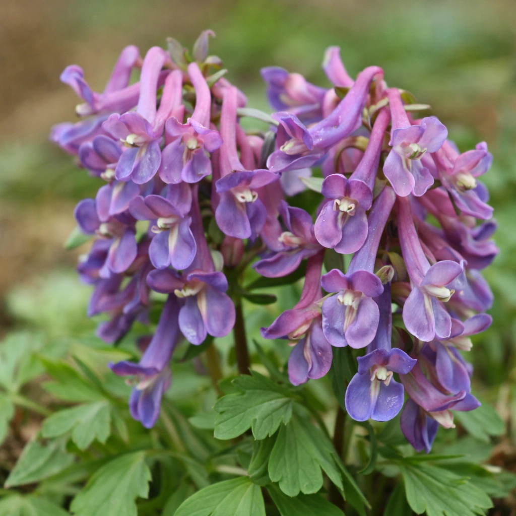 image - 2026-04-03T100840.018